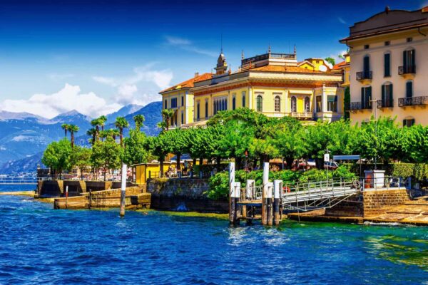 T-shirt JP FIRMA FIOLET CLASSIC PRZEDSPRZEDAŻ